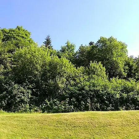 Apartment Am Wald 5 *