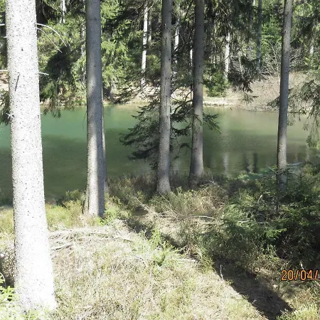 Apartment Am Wald 5